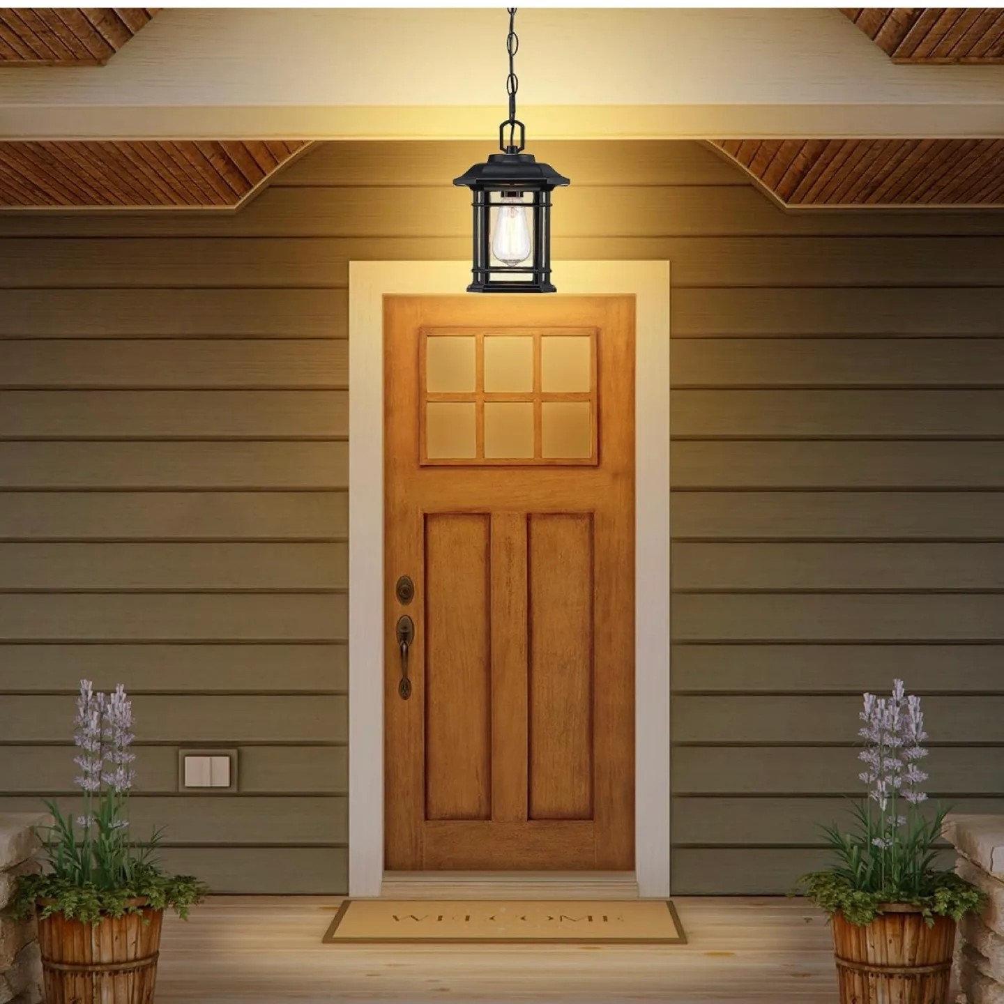 Outdoor Hanging Pendant Light - Black image indicator(6)