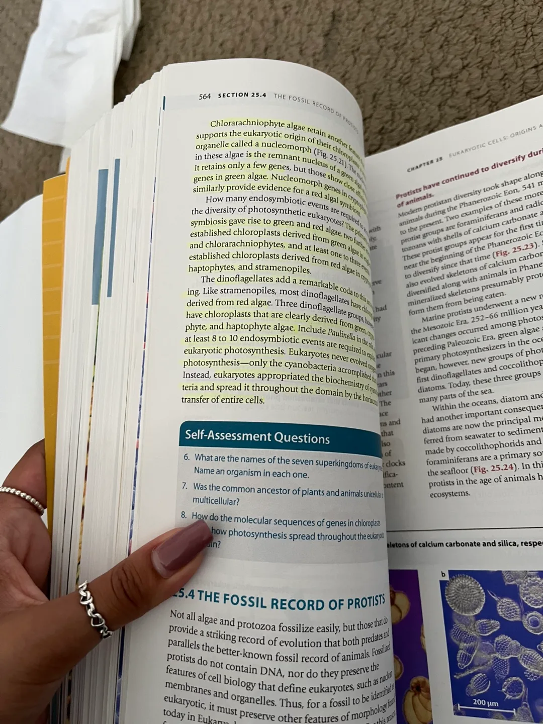 Biology: How Life Works, Third Edition image indicator(2)