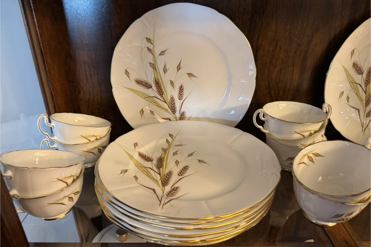 73 piece set of Northumbria Golden Horizon Fine Bone China Set