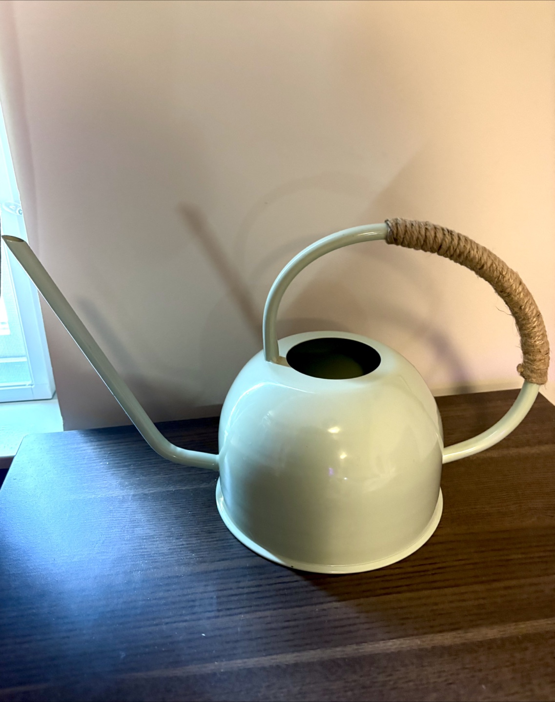 Mint Green Watering Can