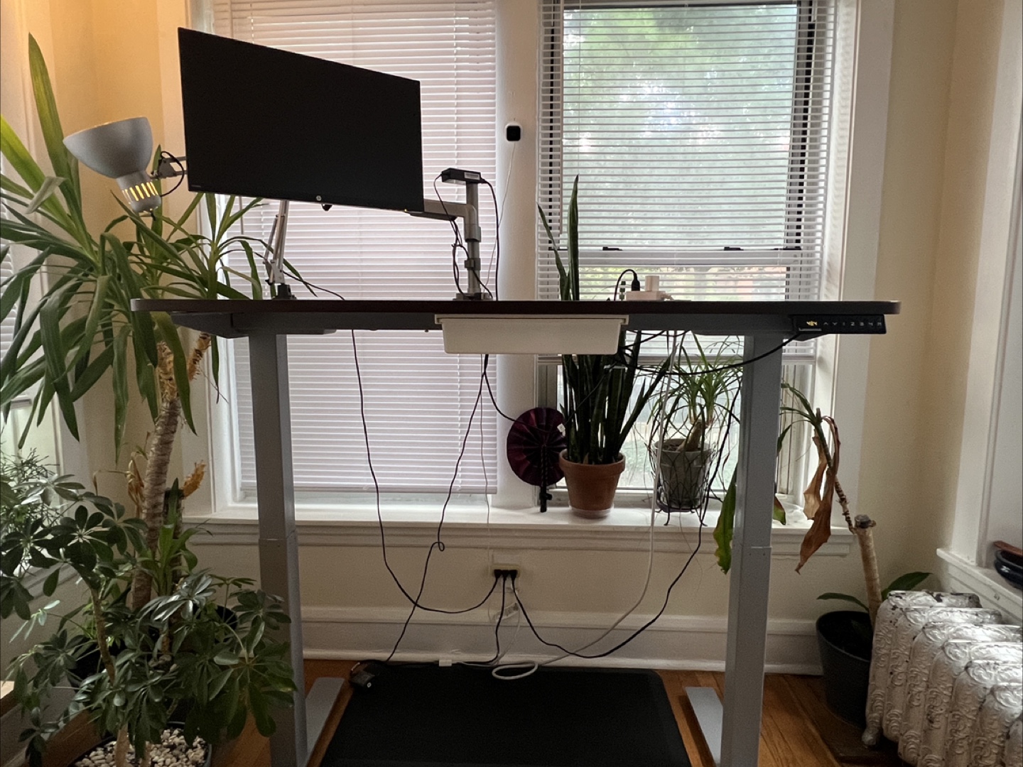 Home Office Setup - Autonomous Standing SmartDesk + Accessories - photo 3