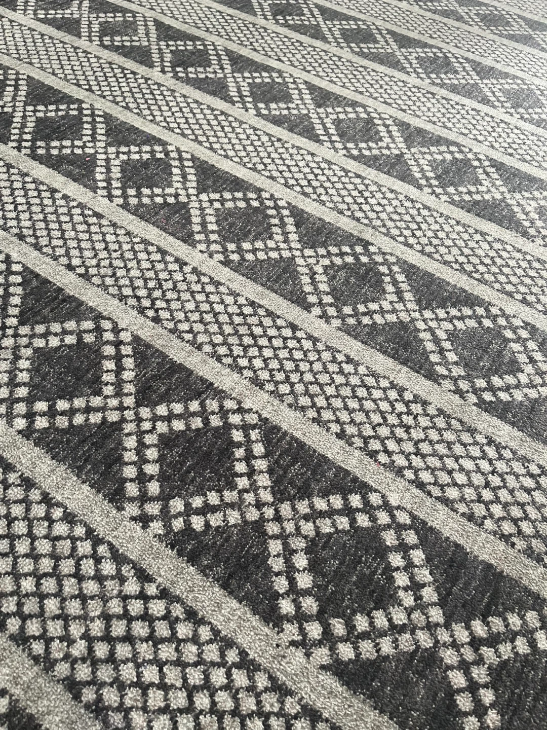 Allen + Roth Iris Rug 5ft x 7ft - photo 2