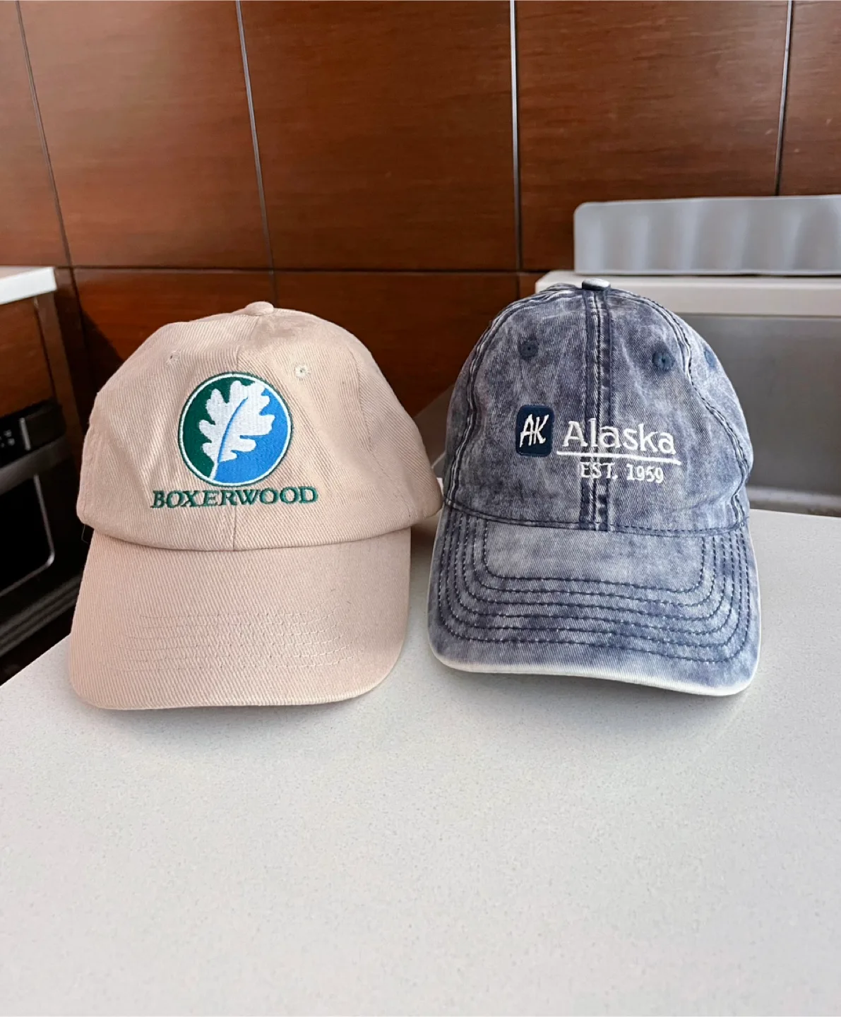 Boxerwood & Alaska Baseball Caps - Set of 2 thumbnail