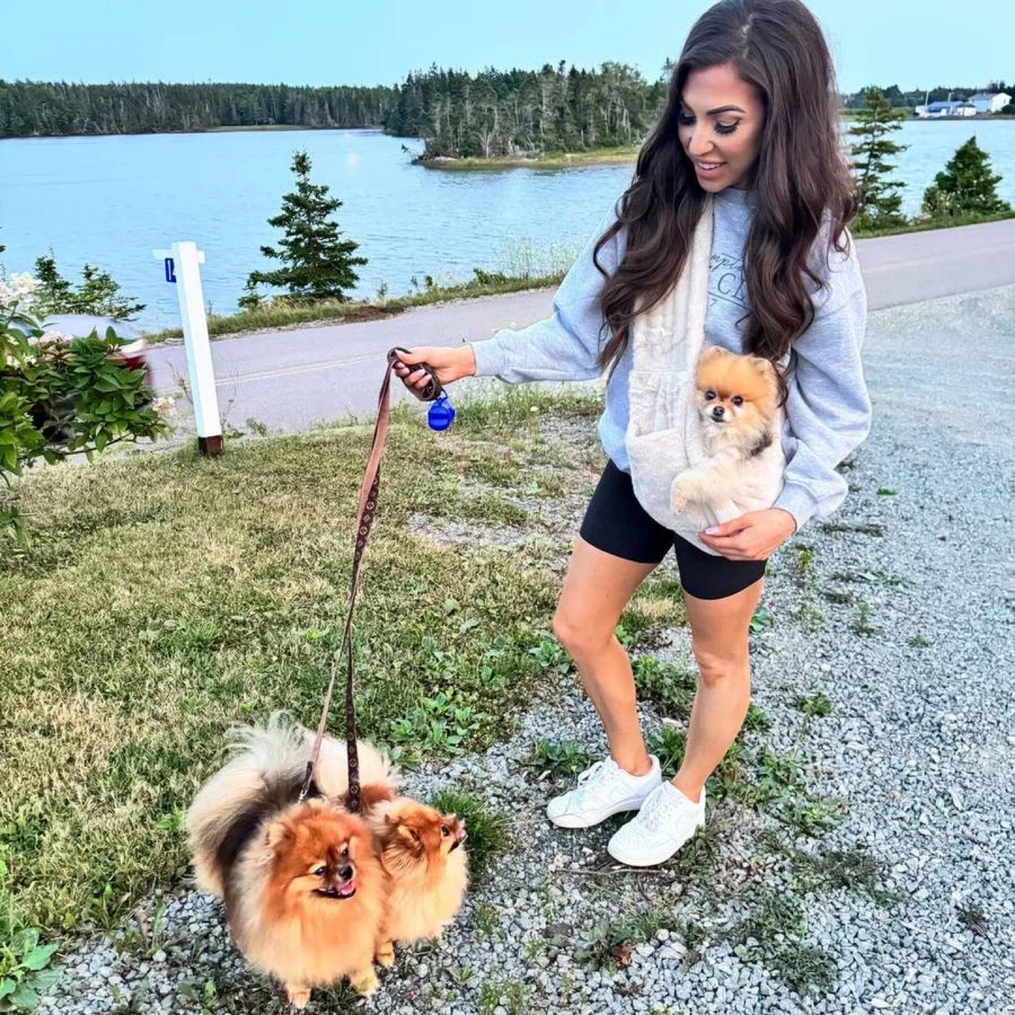 Furry Sling Pet Carrier thumbnail