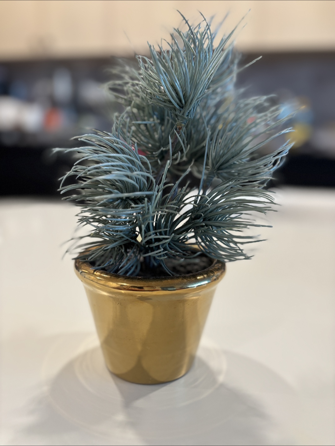 Free CB2 8.5" faux Potted Succulent - photo 2