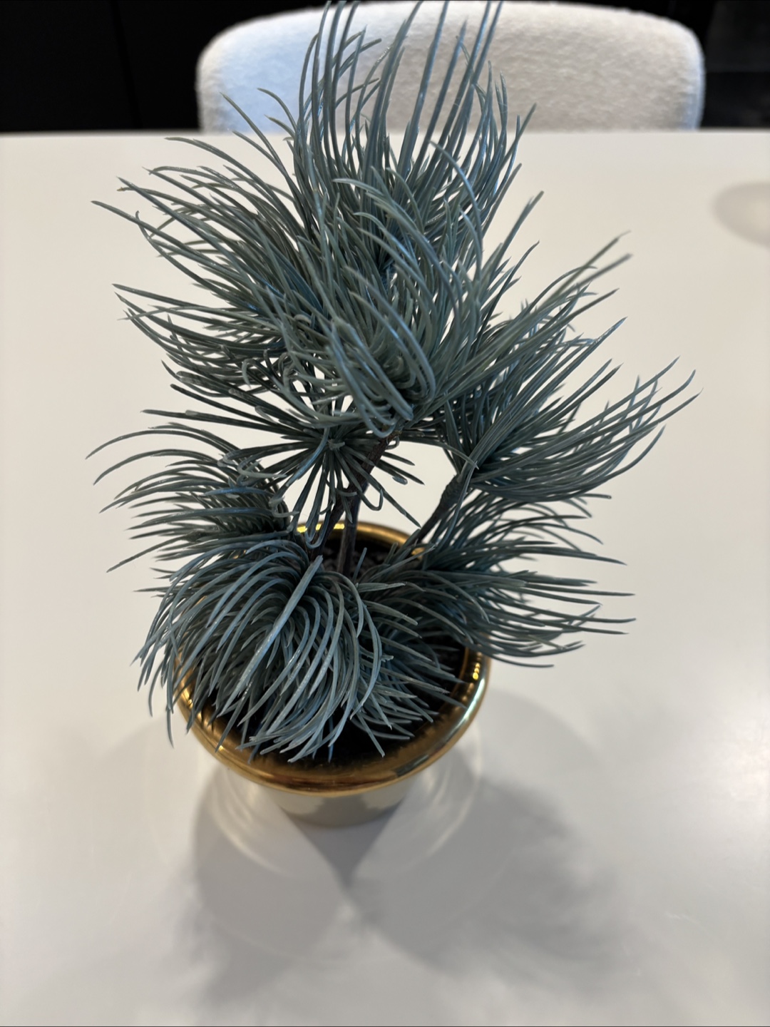 Free CB2 8.5" faux Potted Succulent