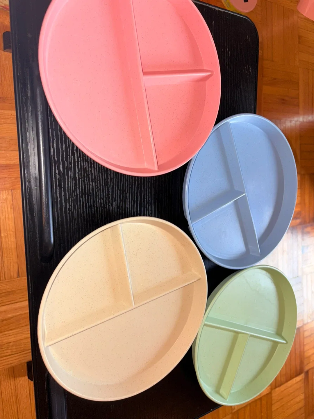 Divided Plates (Set of 4)