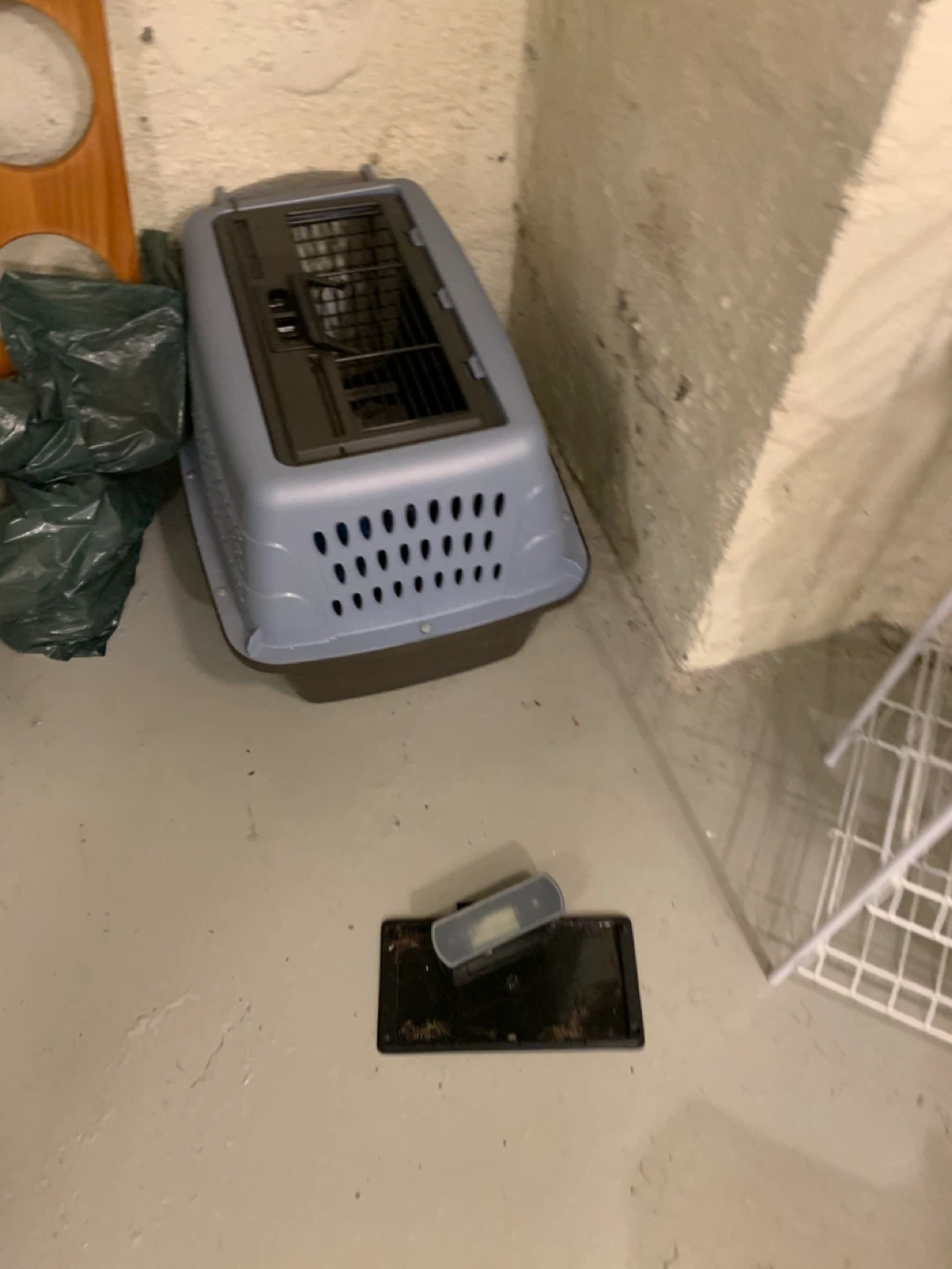Pet Carrier Lot - Various Sizes & Styles - photo 2