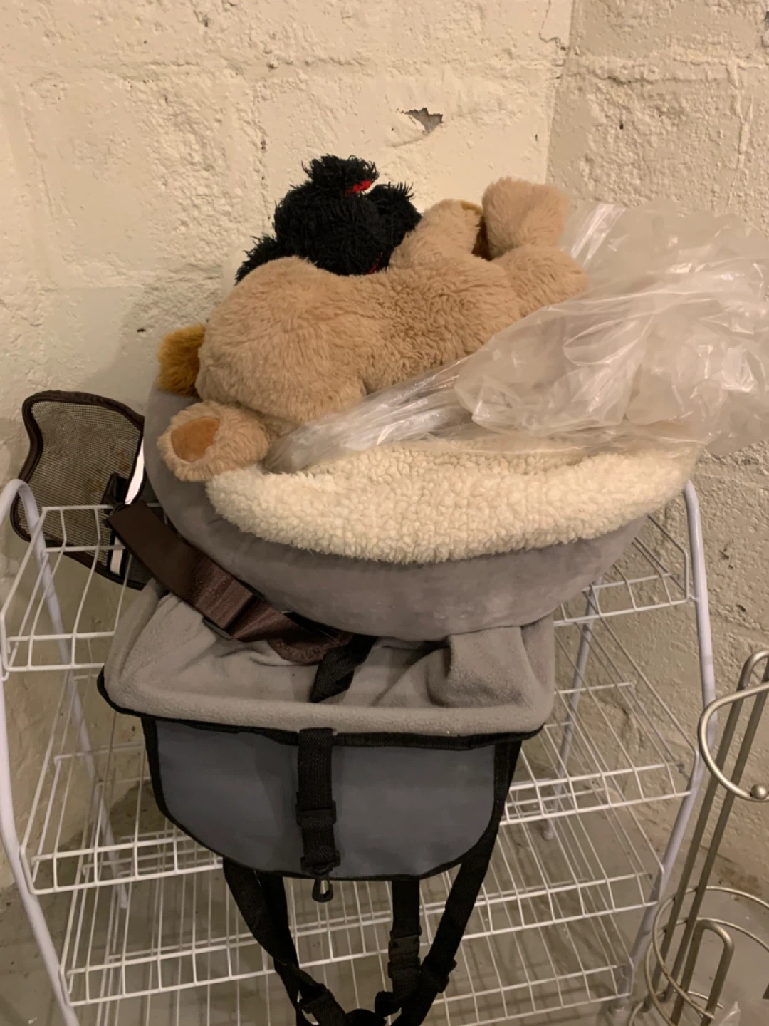 Pet Carrier Lot - Various Sizes & Styles - photo 3