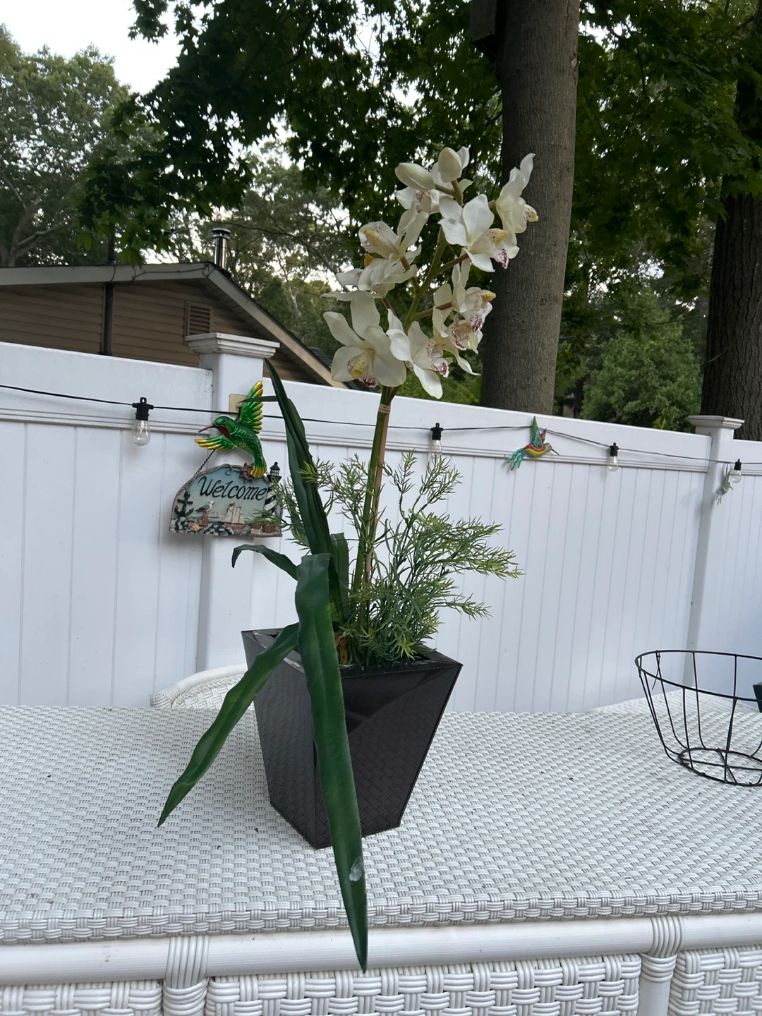 Artificial Orchid Plant in Black Pot