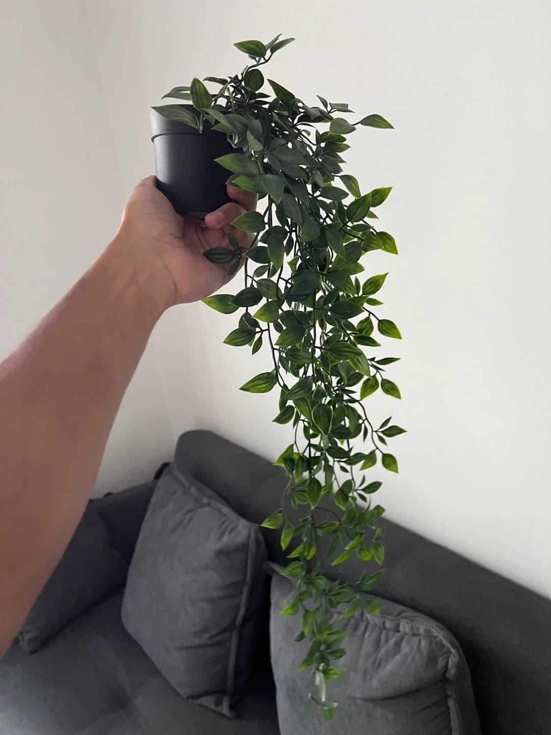 Artificial Hanging Plant (2 for $10) image indicator(3)