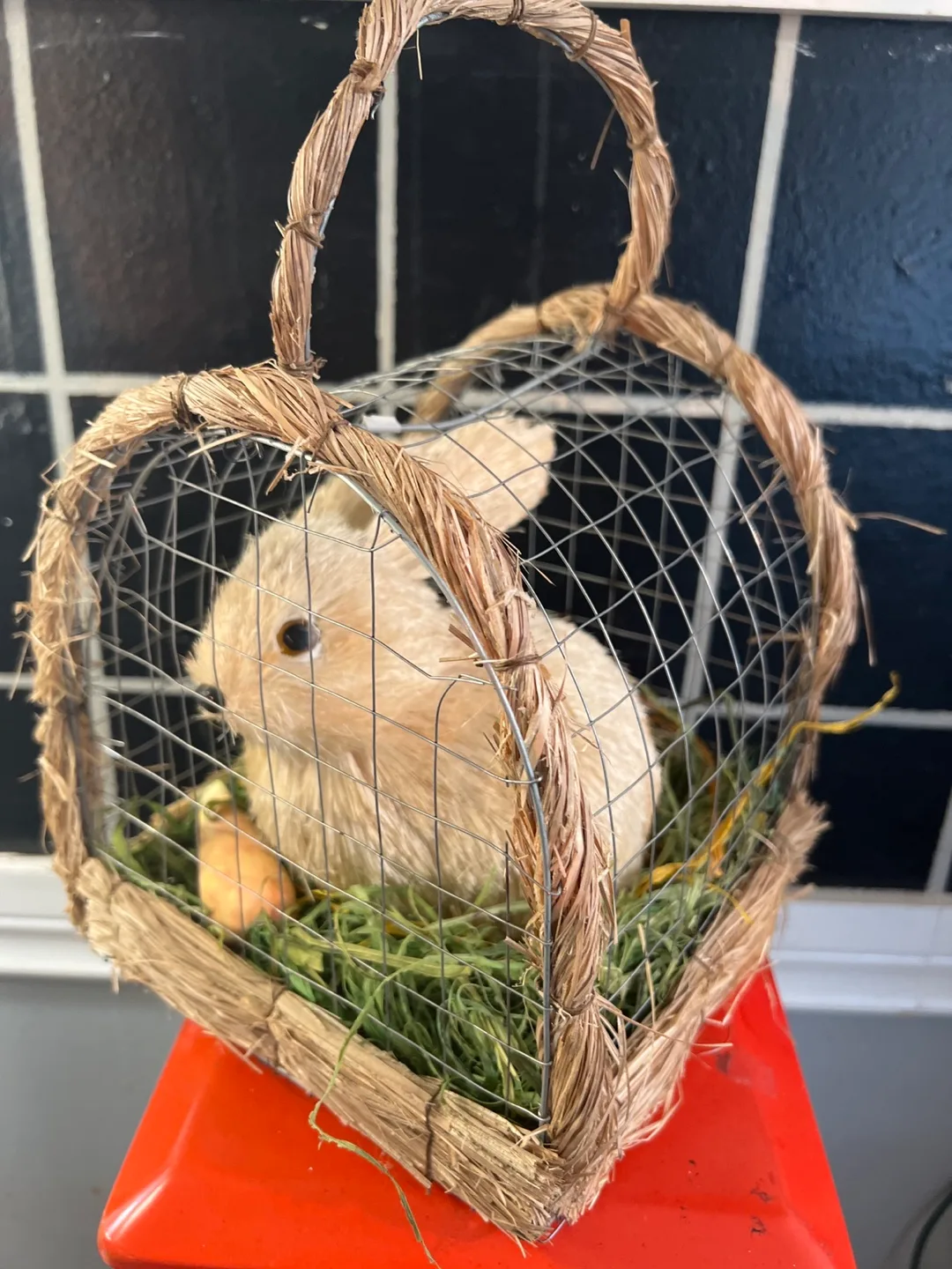 Bunny in a Cage please note (NOT A REAL BUNNY). thumbnail