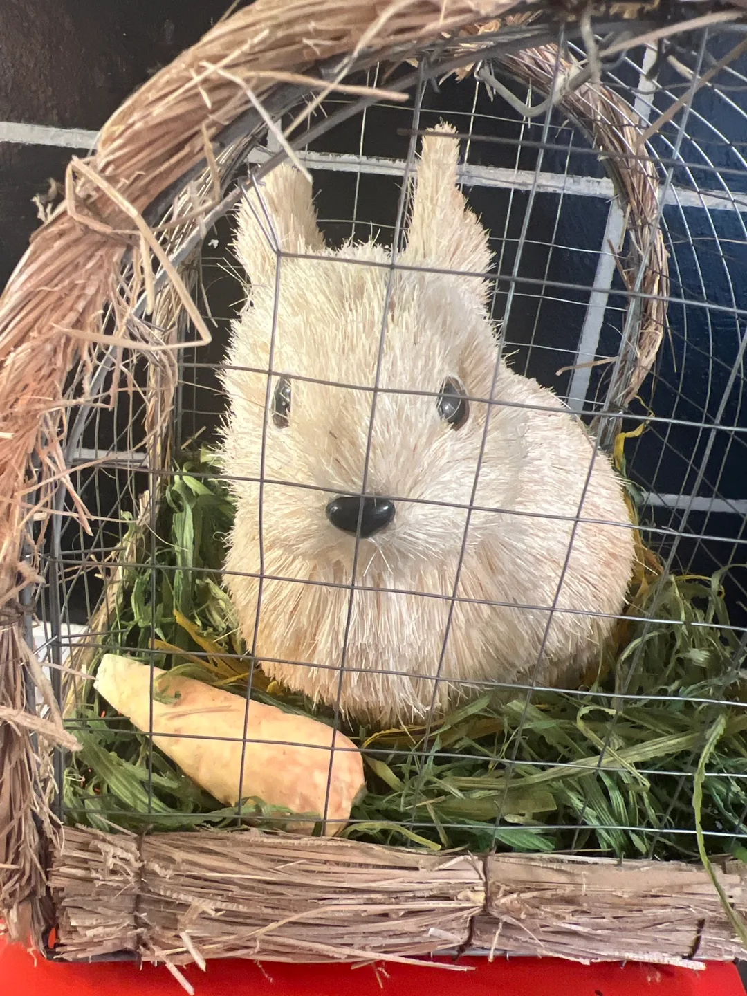 Bunny in a Cage please note (NOT A REAL BUNNY). image indicator(2)
