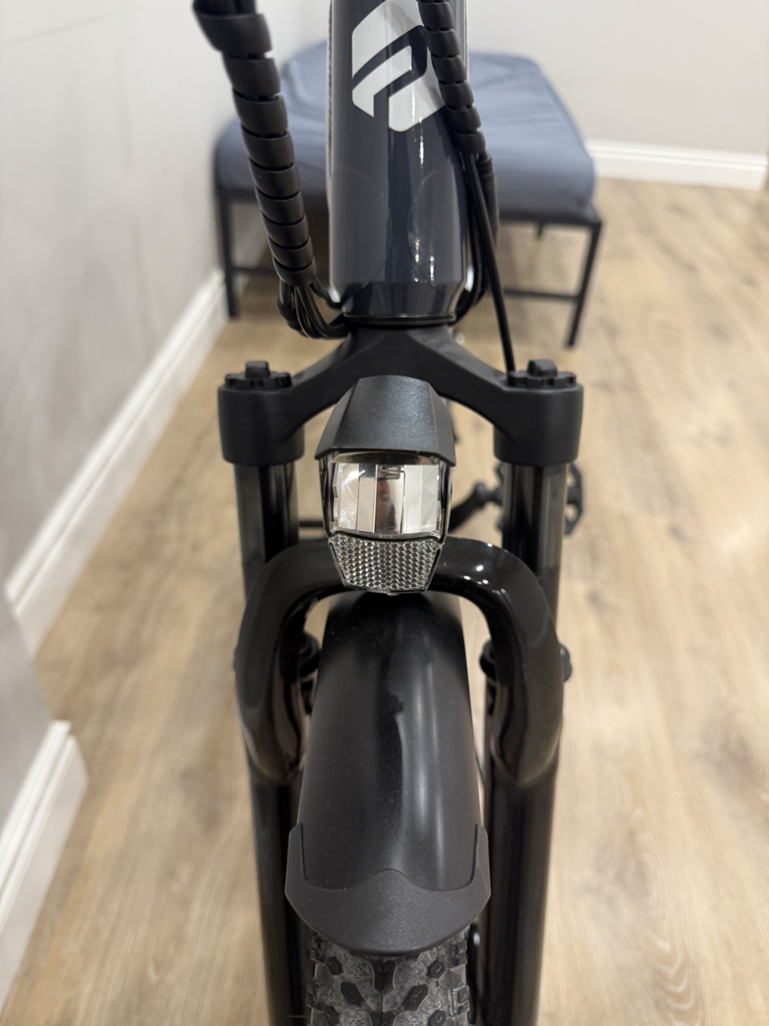 Phoenix Electric Bike - photo 4