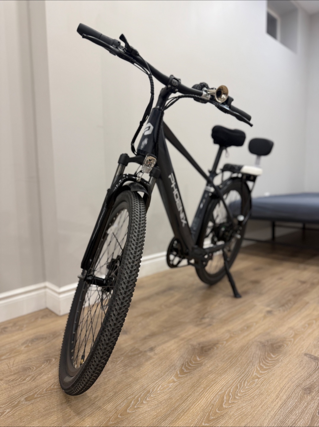 Phoenix Electric Bike