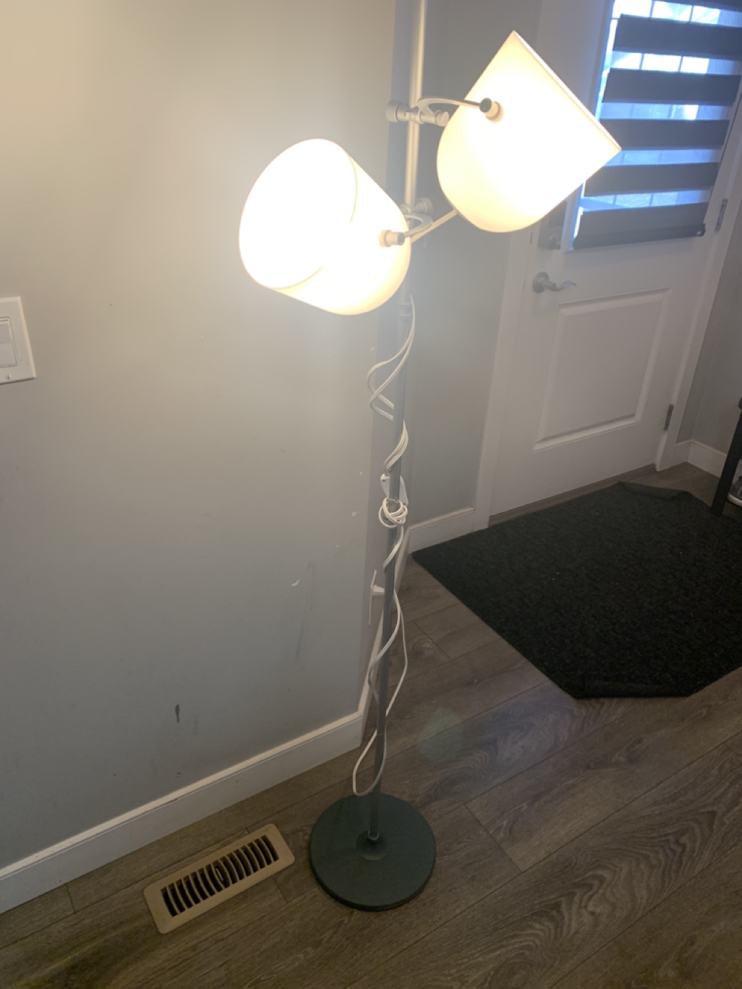 Floor Lamp with Adjustable Lights