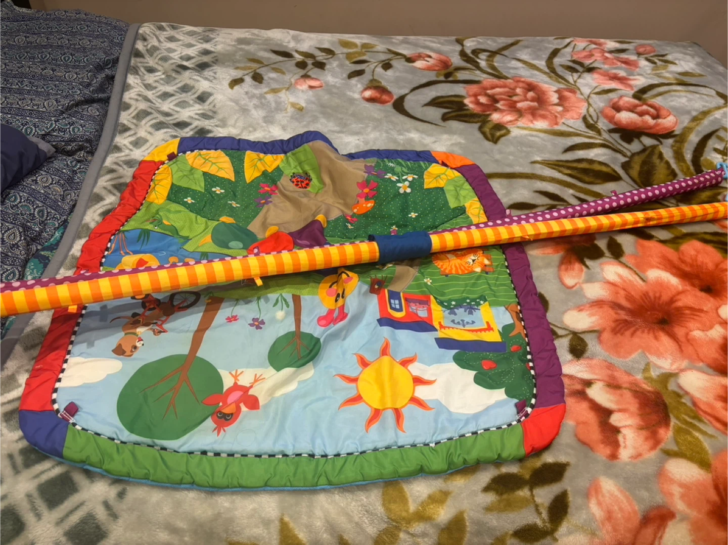Baby Activity Gym Play Mat