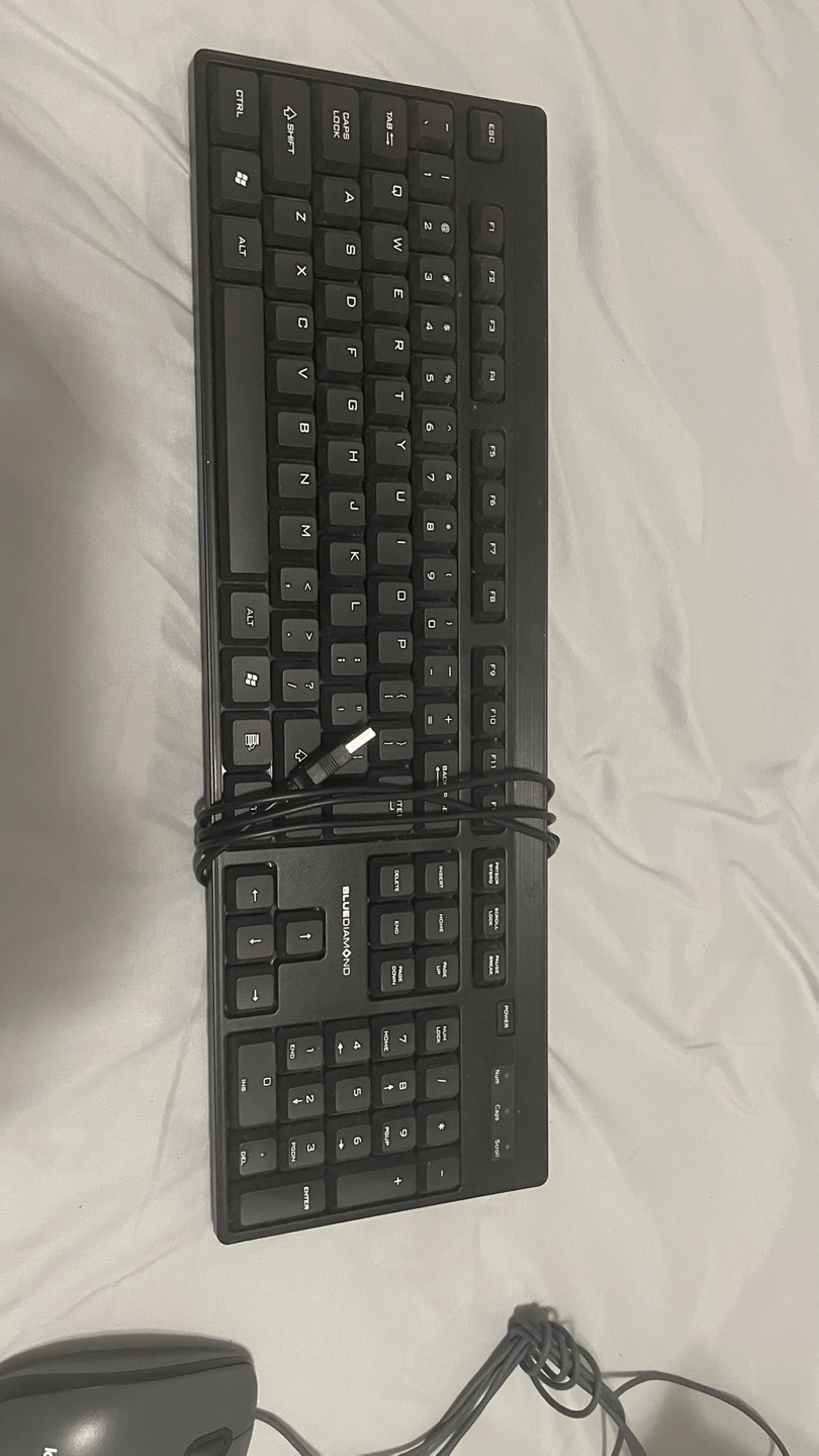 Blue Diamond Keyboard & Logitech Mouse