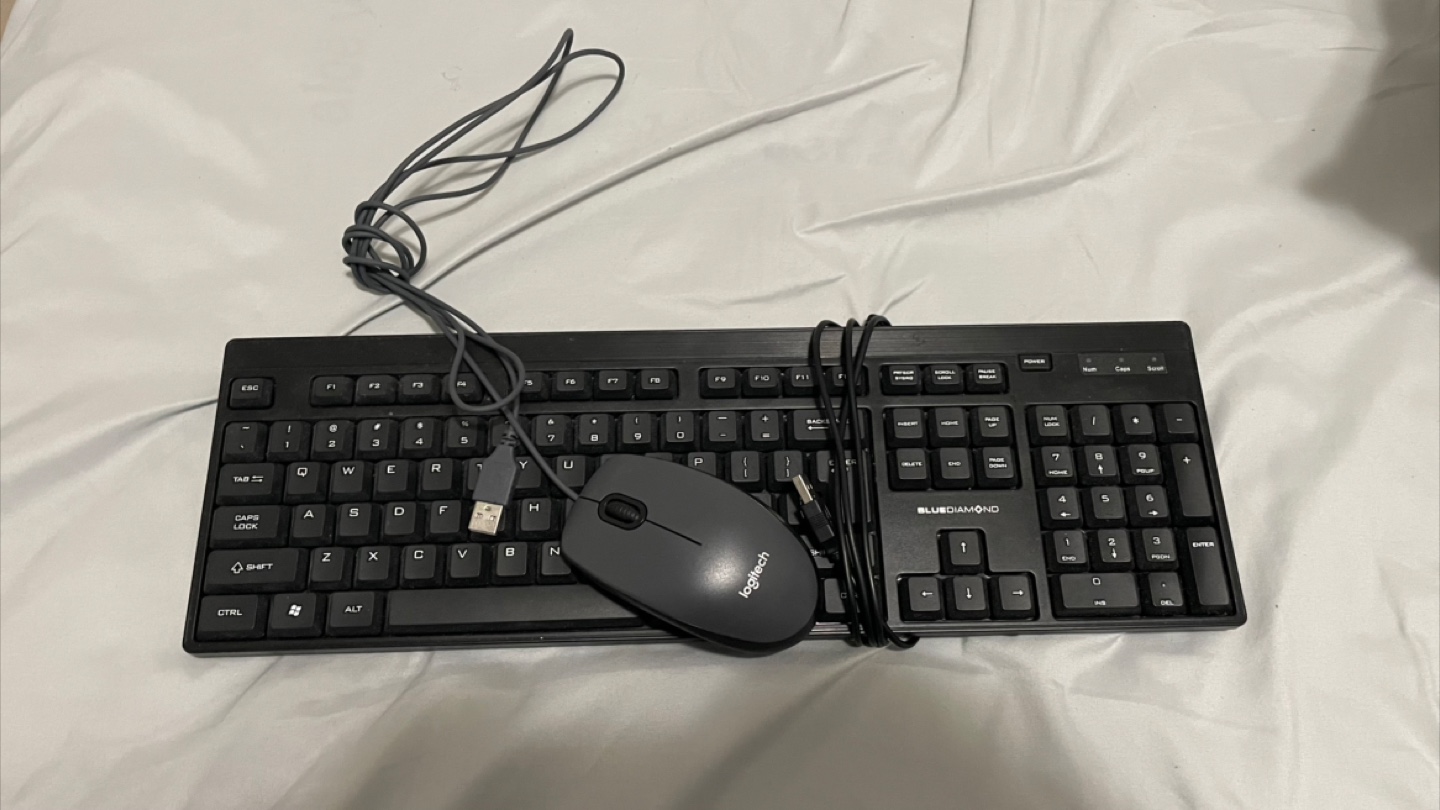 Blue Diamond Keyboard & Logitech Mouse - photo 2