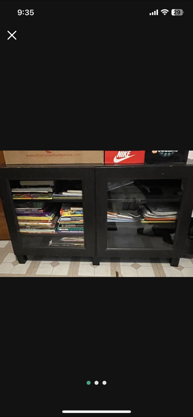 FREE Black Cabinet with Glass Doors
