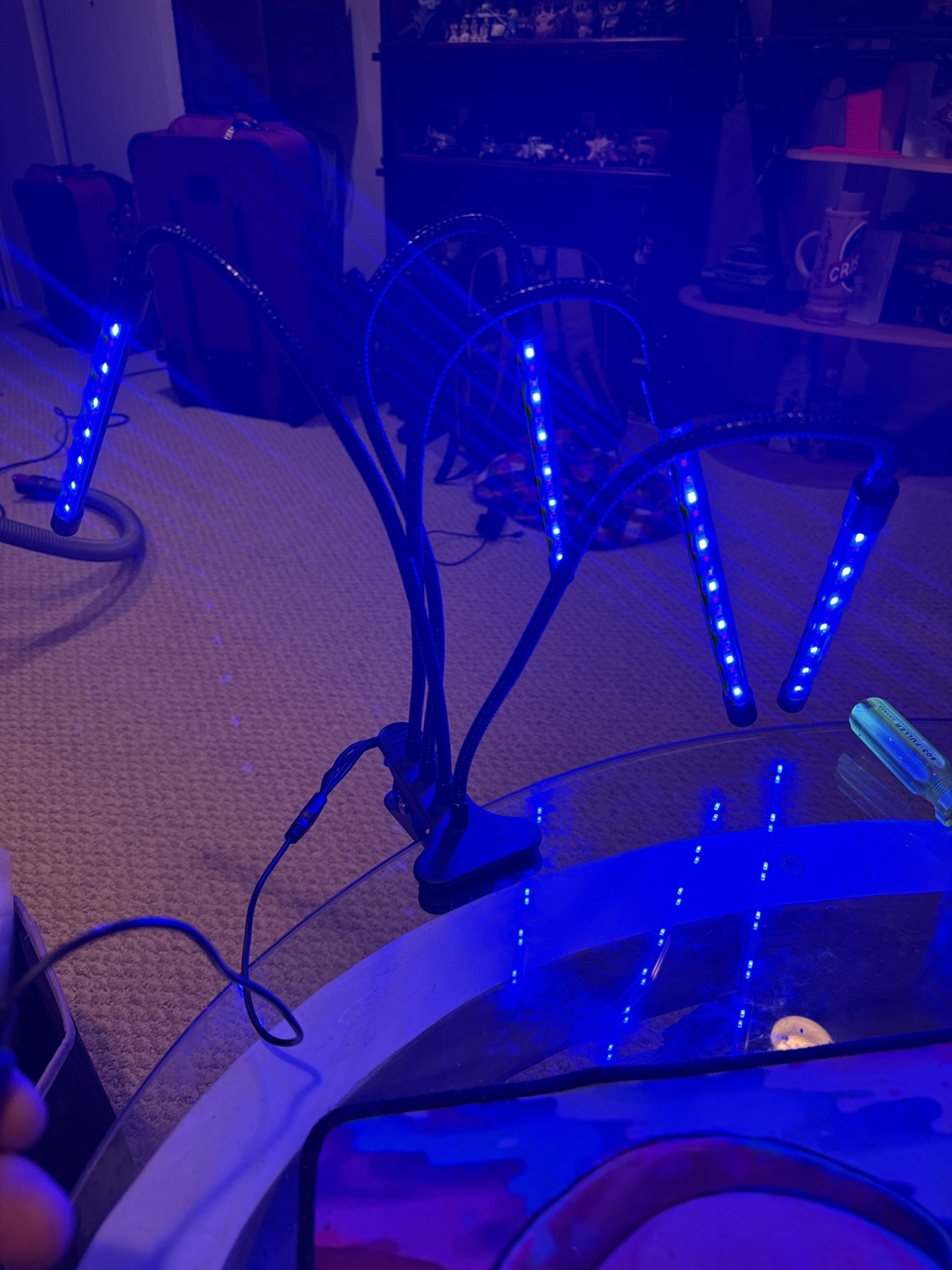 Clip-On LED Grow Light with 4 Flexible Arms - photo 4