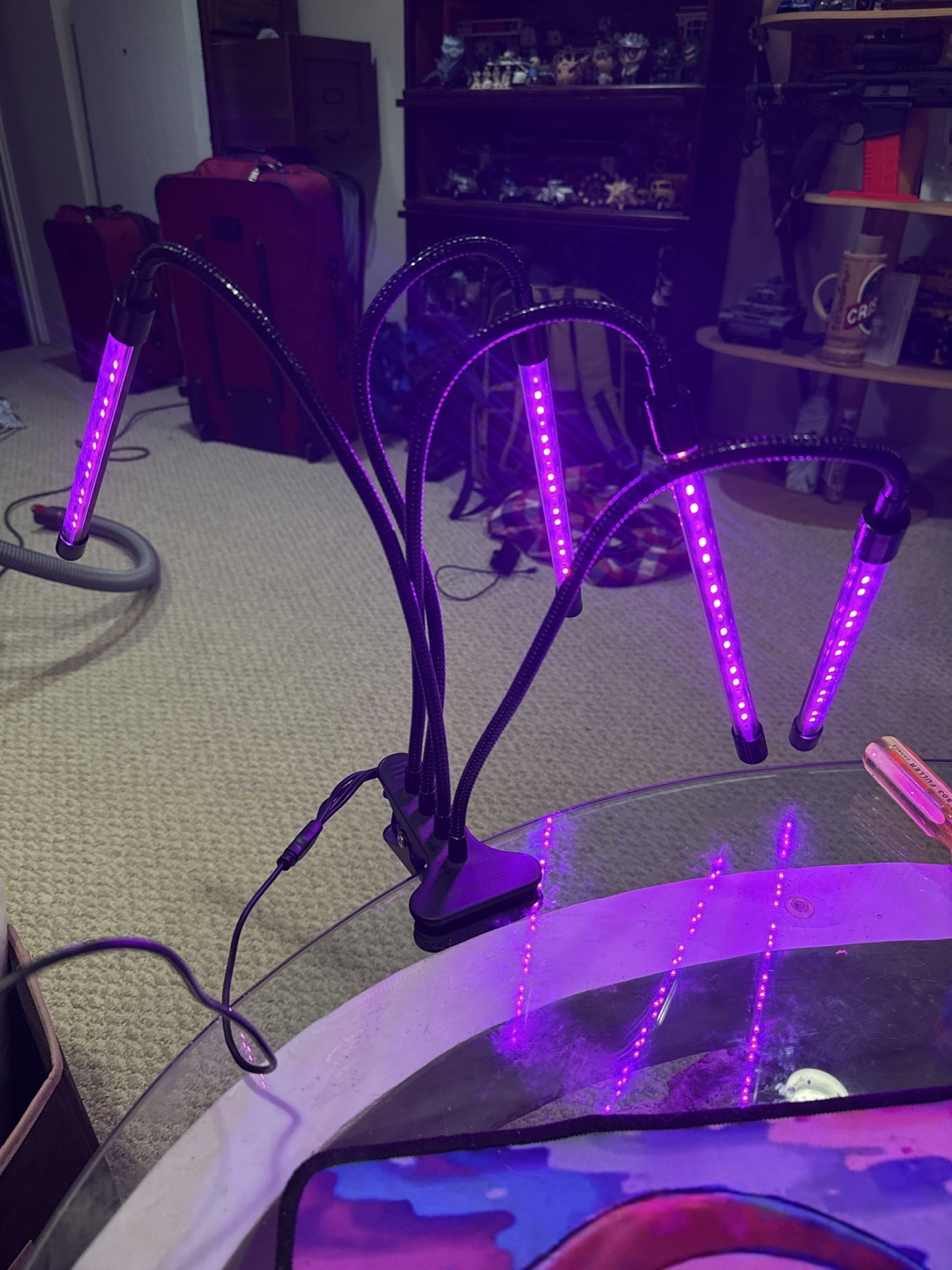 Clip-On LED Grow Light with 4 Flexible Arms - photo 5