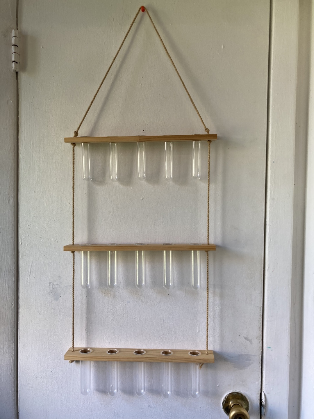 Hanging Propagation Station with Glass Tubes