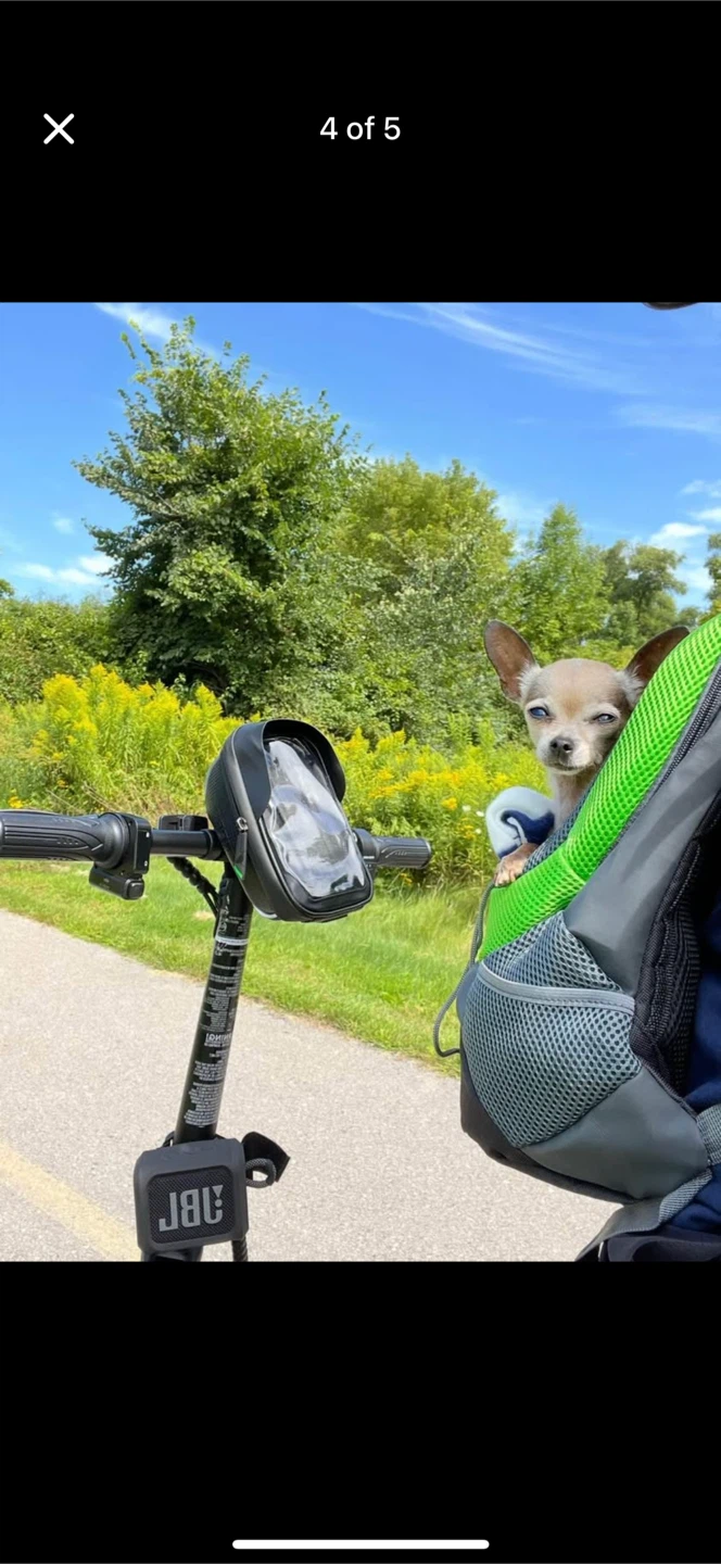 🐾 Dog Carrier Backpack – For Small & X-Small Dogs 🐾 - photo 3