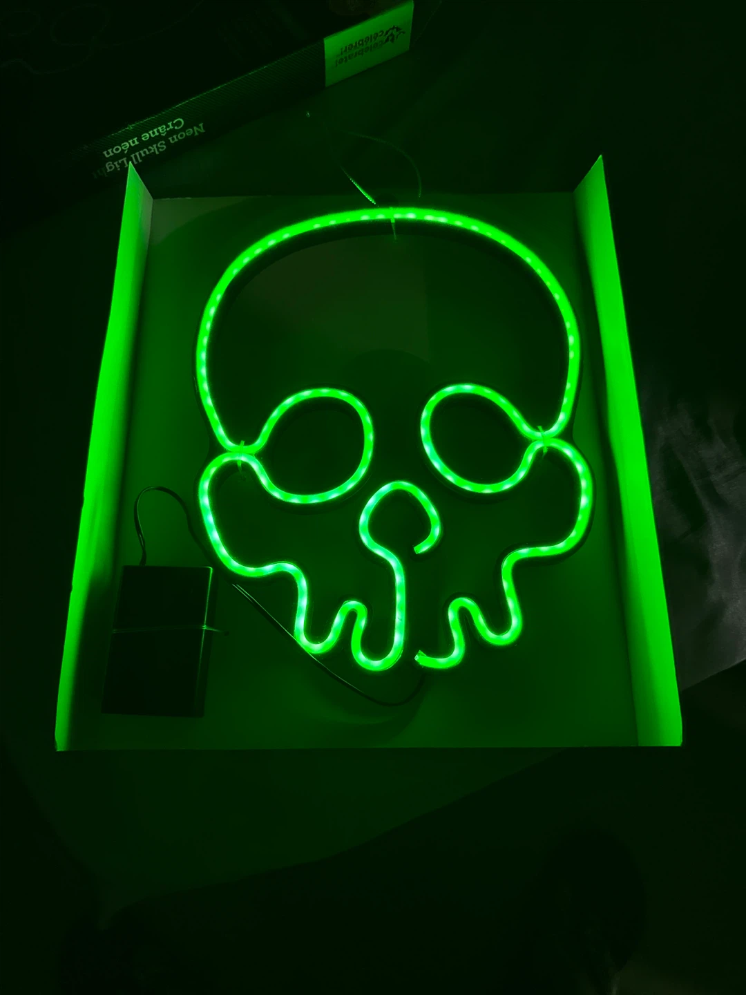 Neon Skull Light - Celebrate It! Decor - photo 3