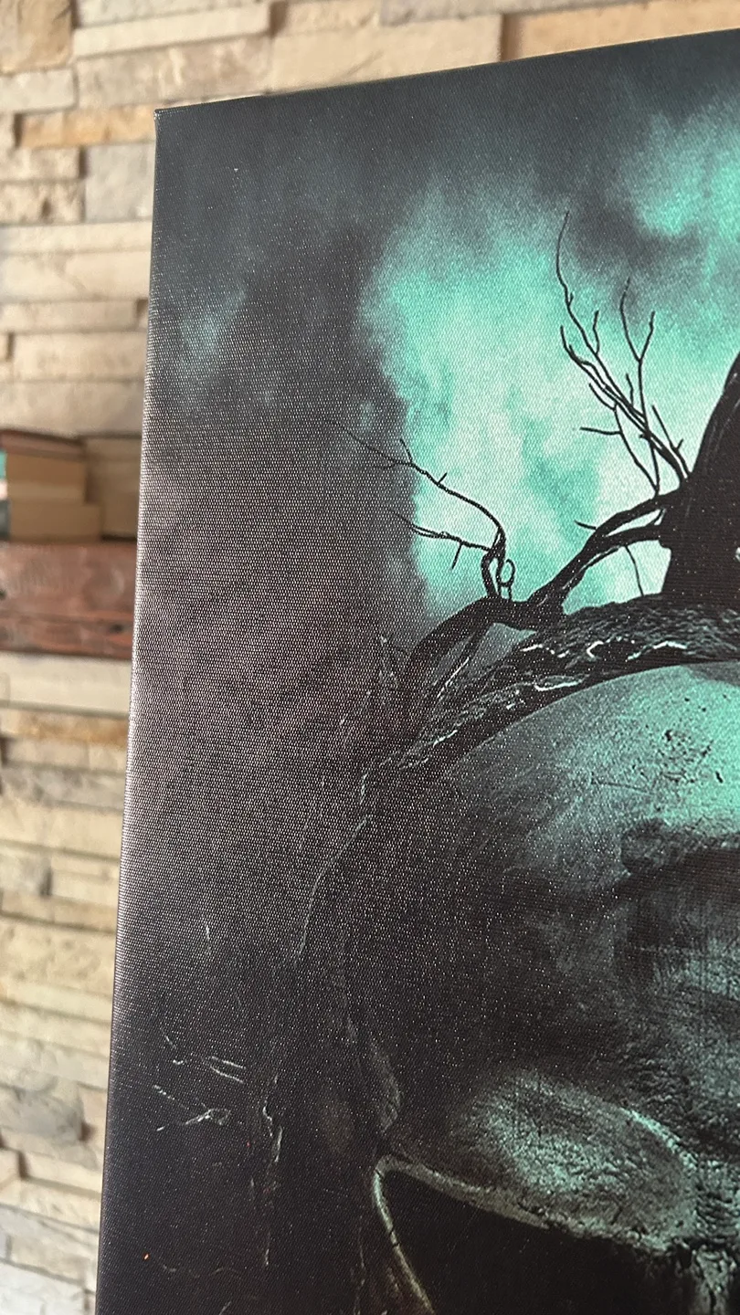 3 Gothic Raven Skull Halloween Canvas Prints image indicator(2)