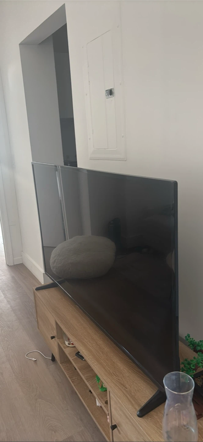 Insignia fire tv 55 inch - photo 2