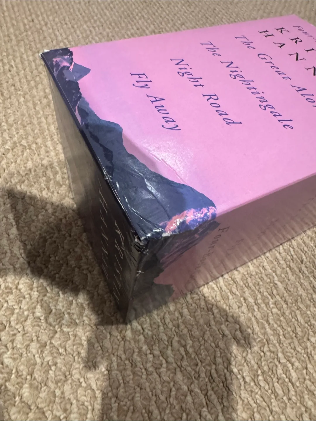 Kristin Hannah Four-Book Collection image indicator(5)