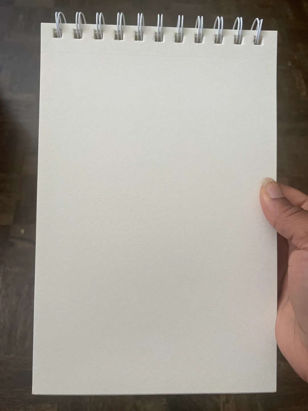 Da Vinci Sketch Book 6" x 9" image indicator(3)