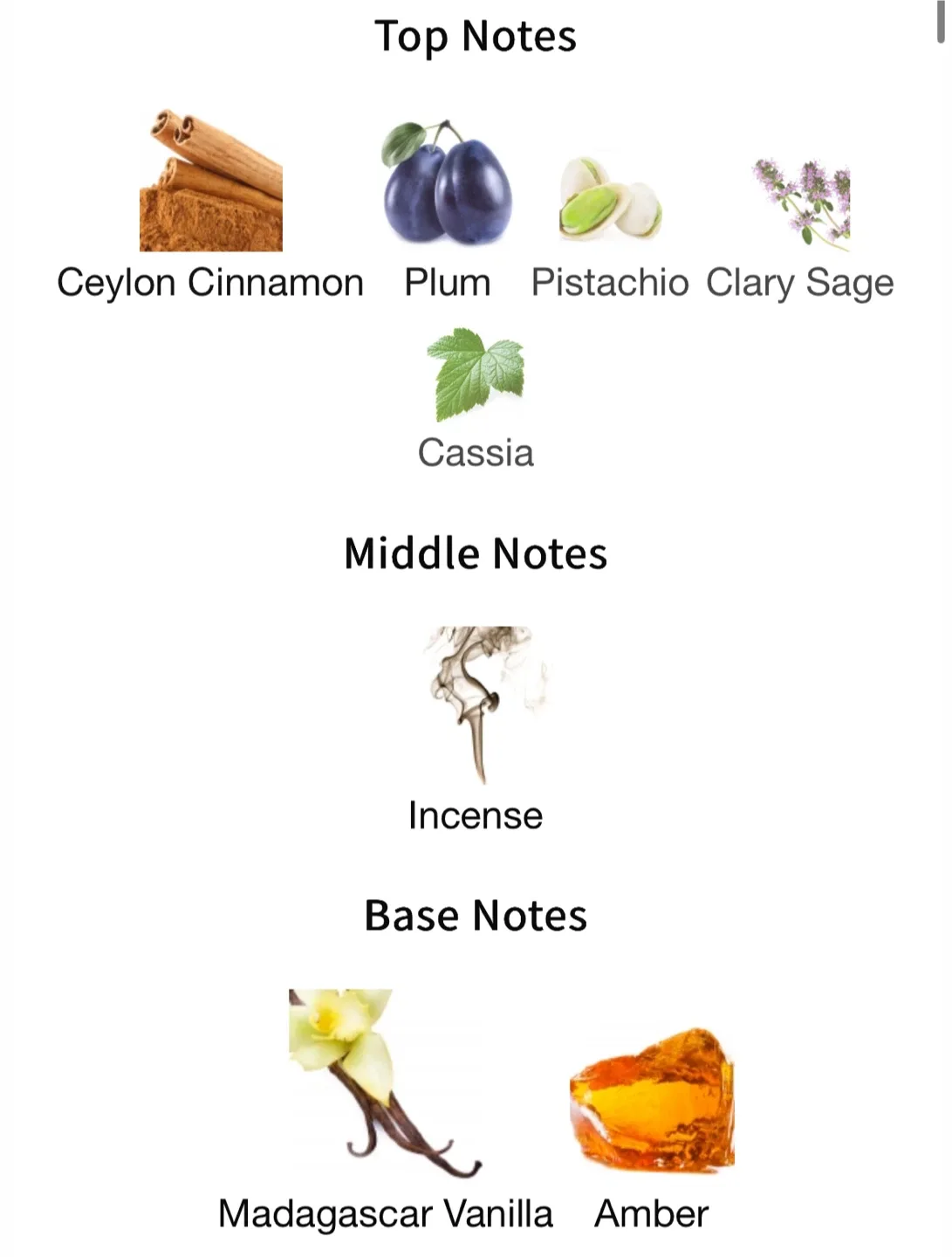 NOYZ Unmute EDP - 50ml image indicator(3)