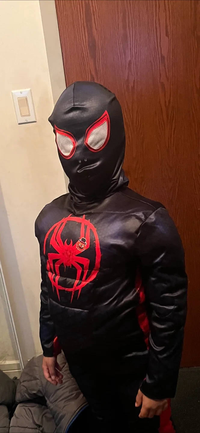 Kid’s Halloween Costume - Spider-Man (size L, 7-9 years old) image indicator(6)