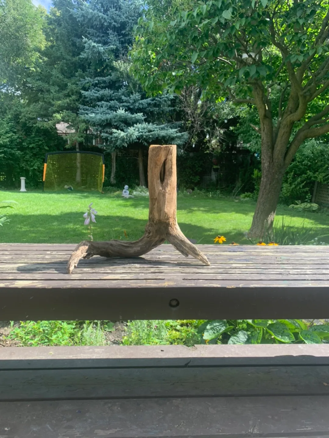 Driftwood thumbnail