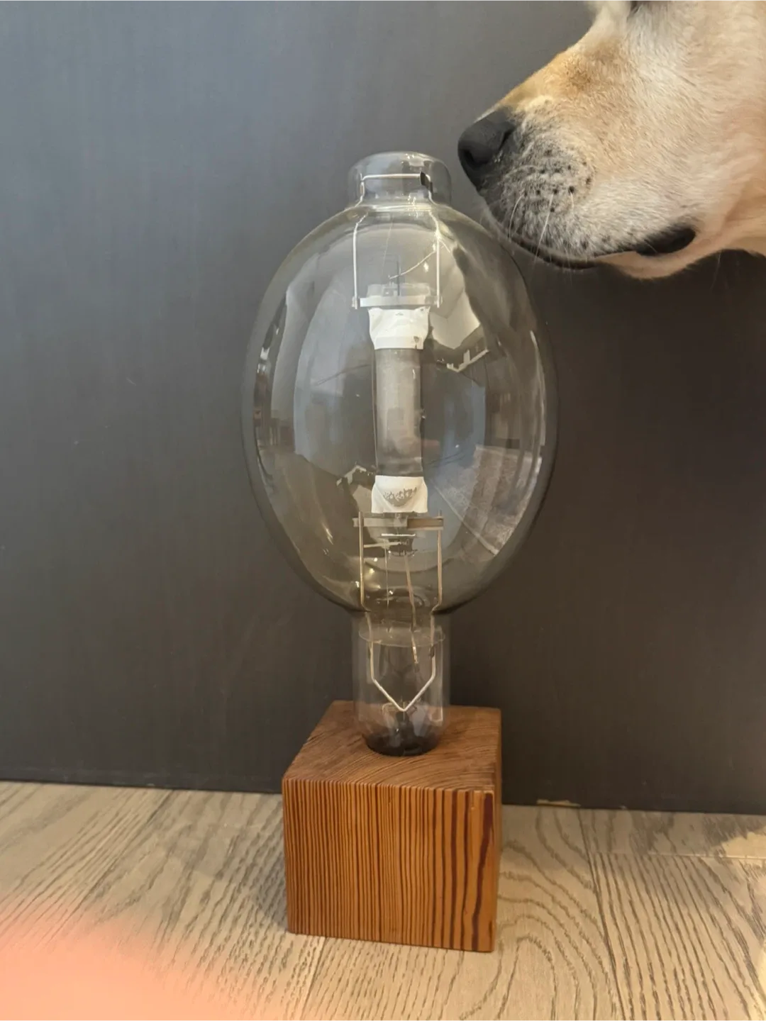 Vintage Style Decorative Light Bulb thumbnail