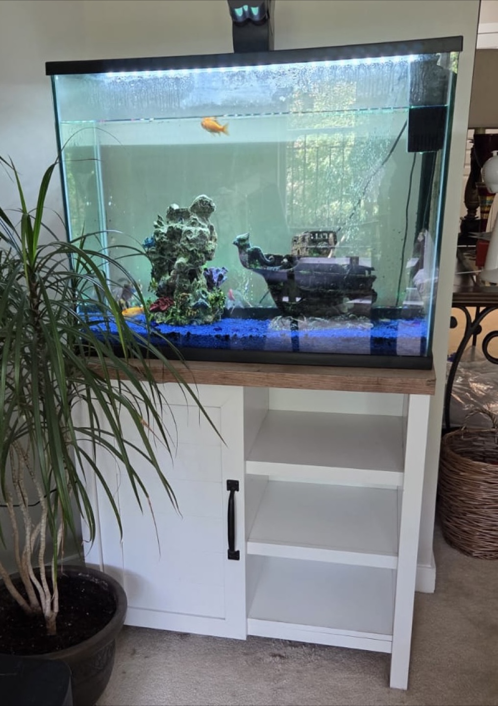 Fish Tank with Stand