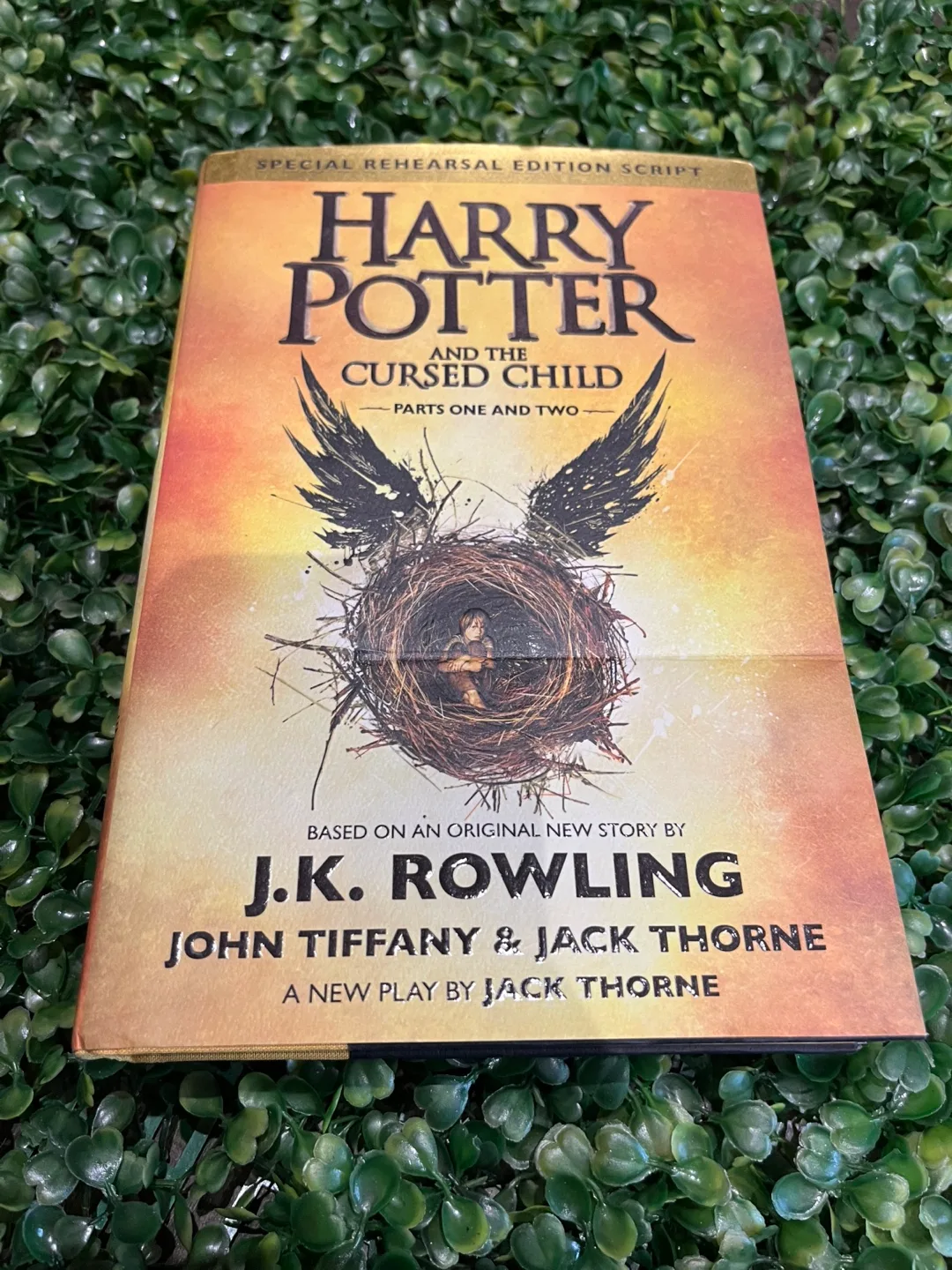 Harry Potter Book thumbnail