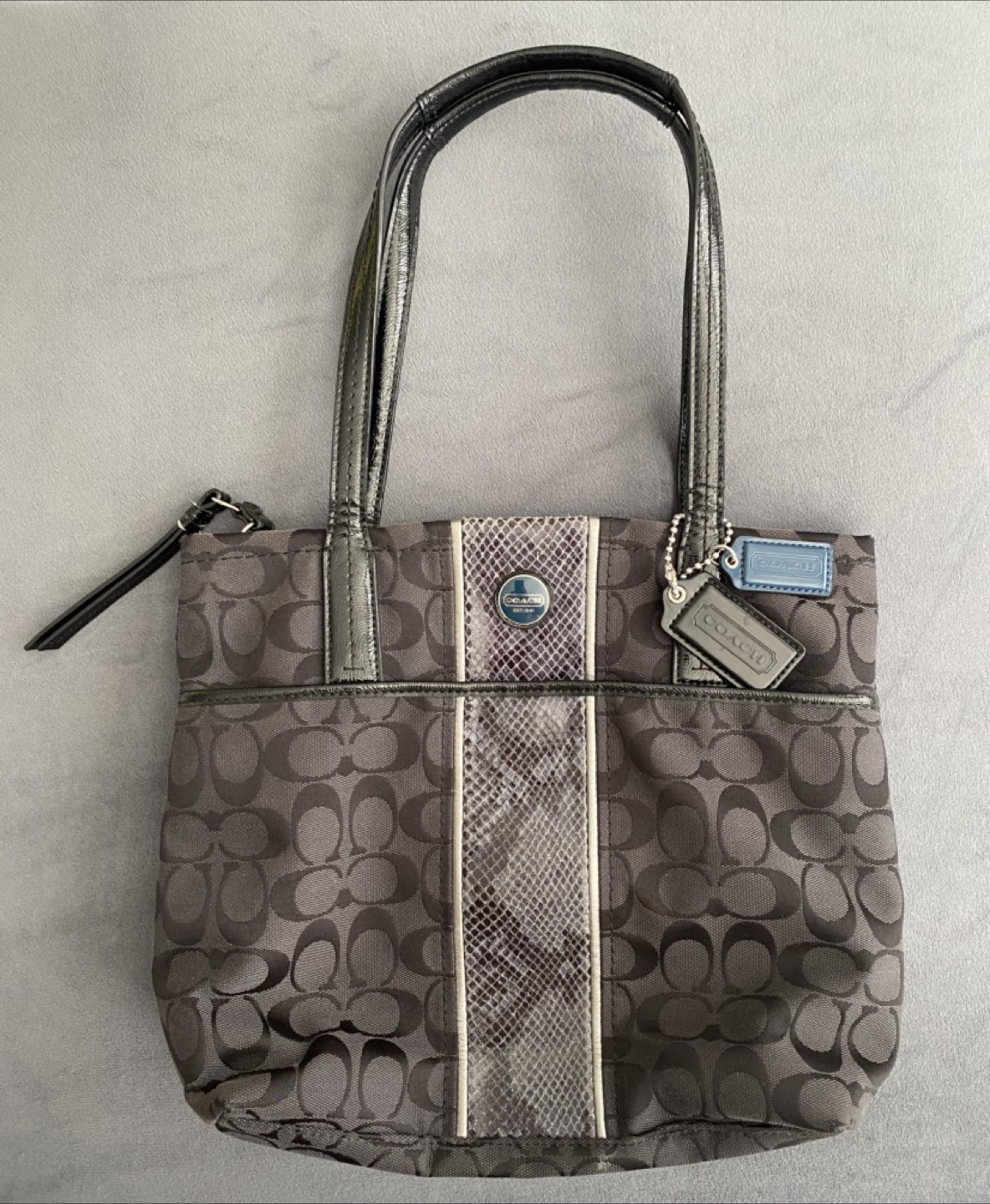 Coach Signature Python Stripe Canvas Leather Handbag