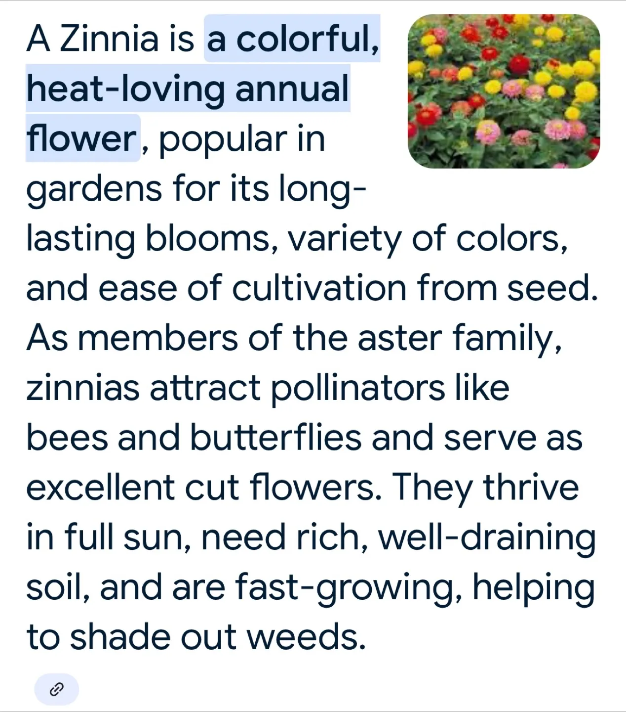 Mixed Zinnia seeds image indicator(2)