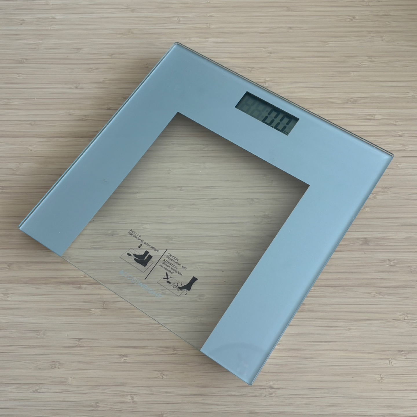 Digital Body Scale