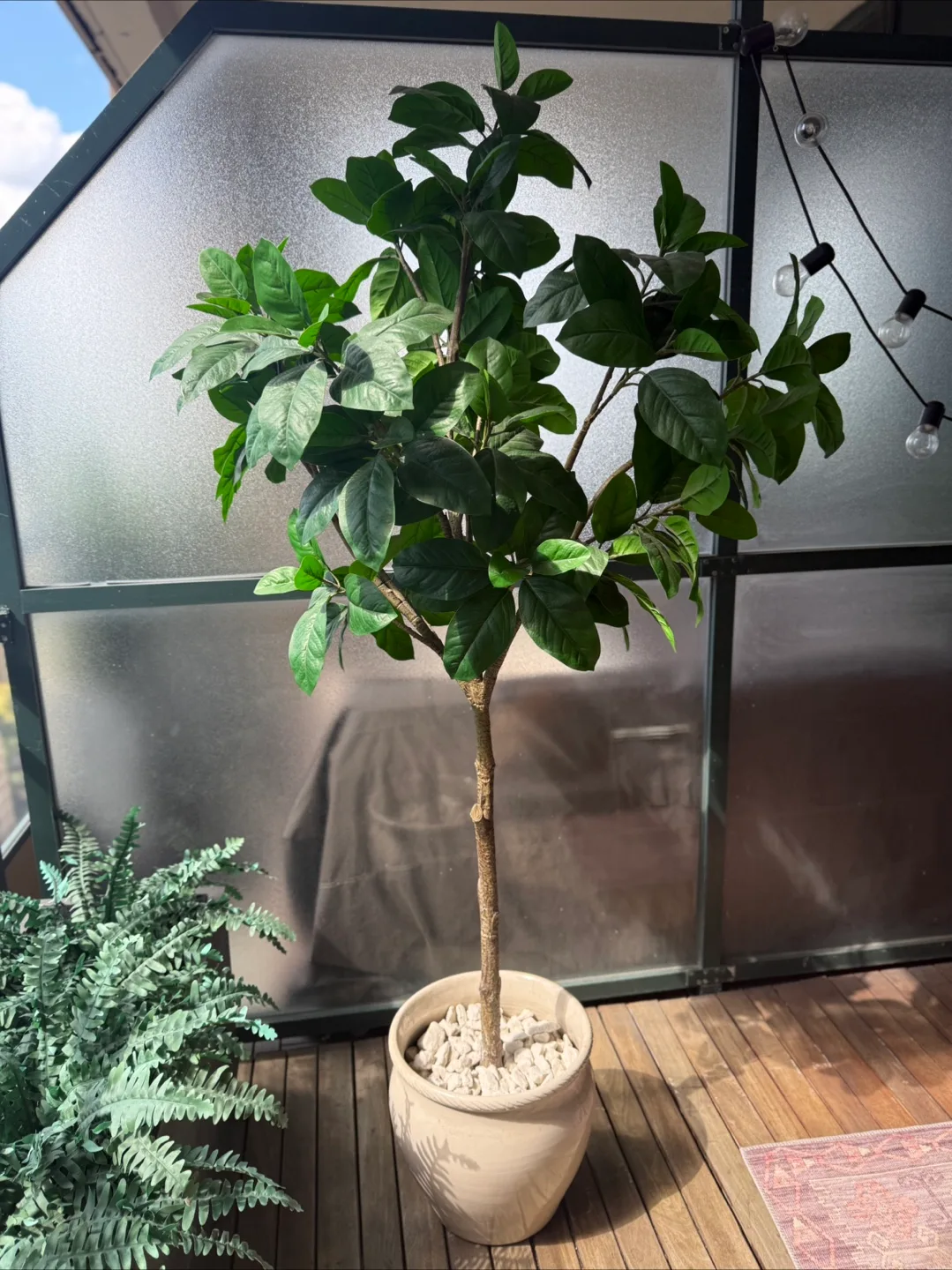 6ft Artificial Tree + Pot thumbnail