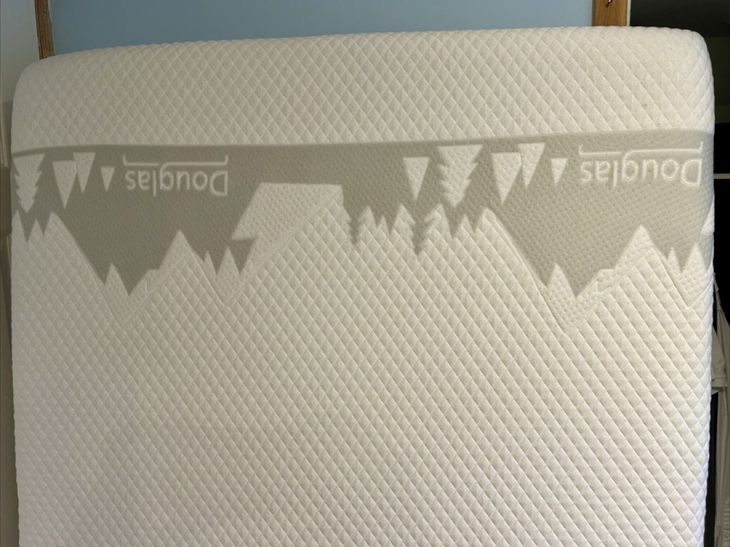Douglas twin mattress - photo 3
