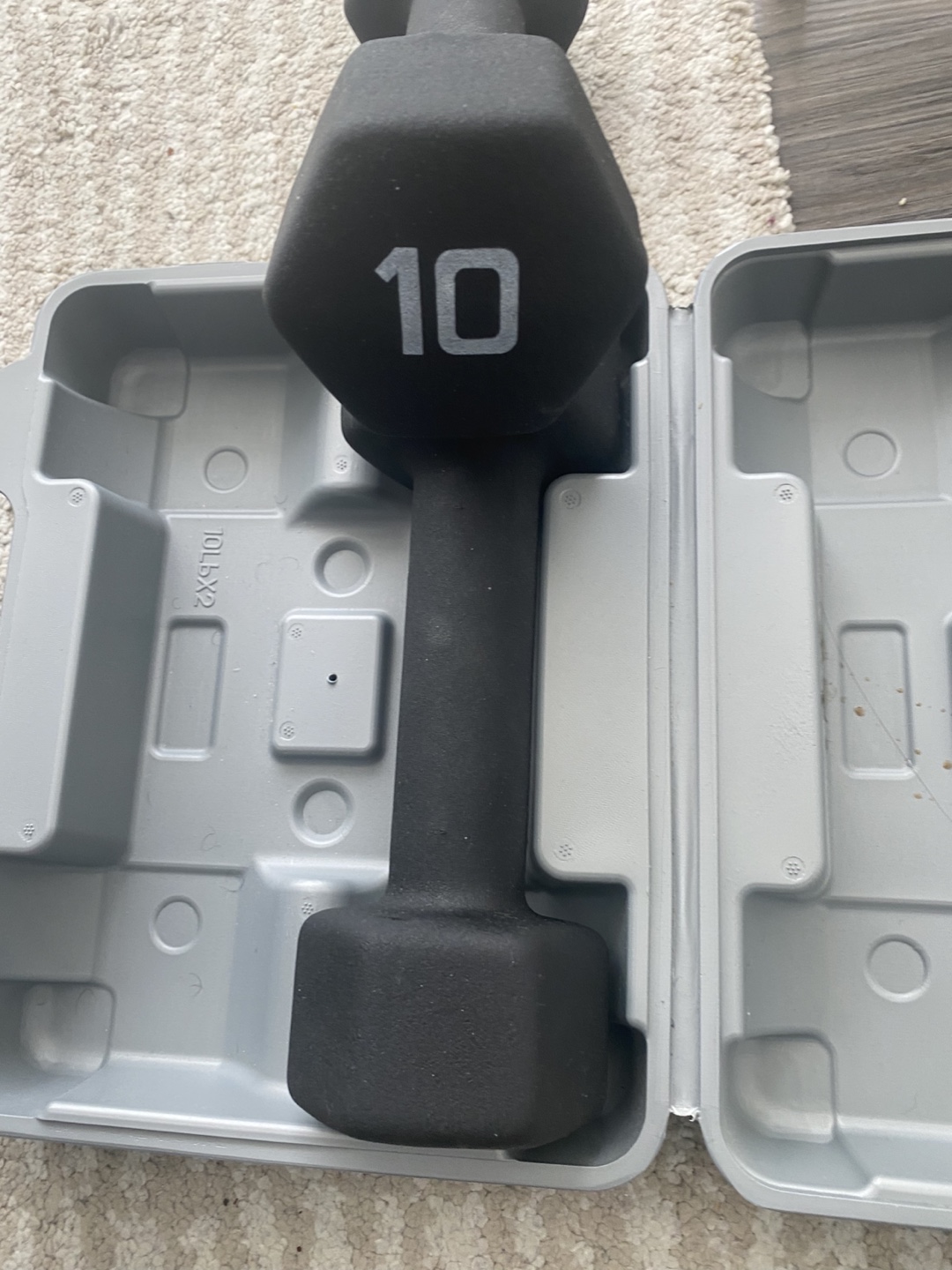 10 lb Dumbbell Set with Case