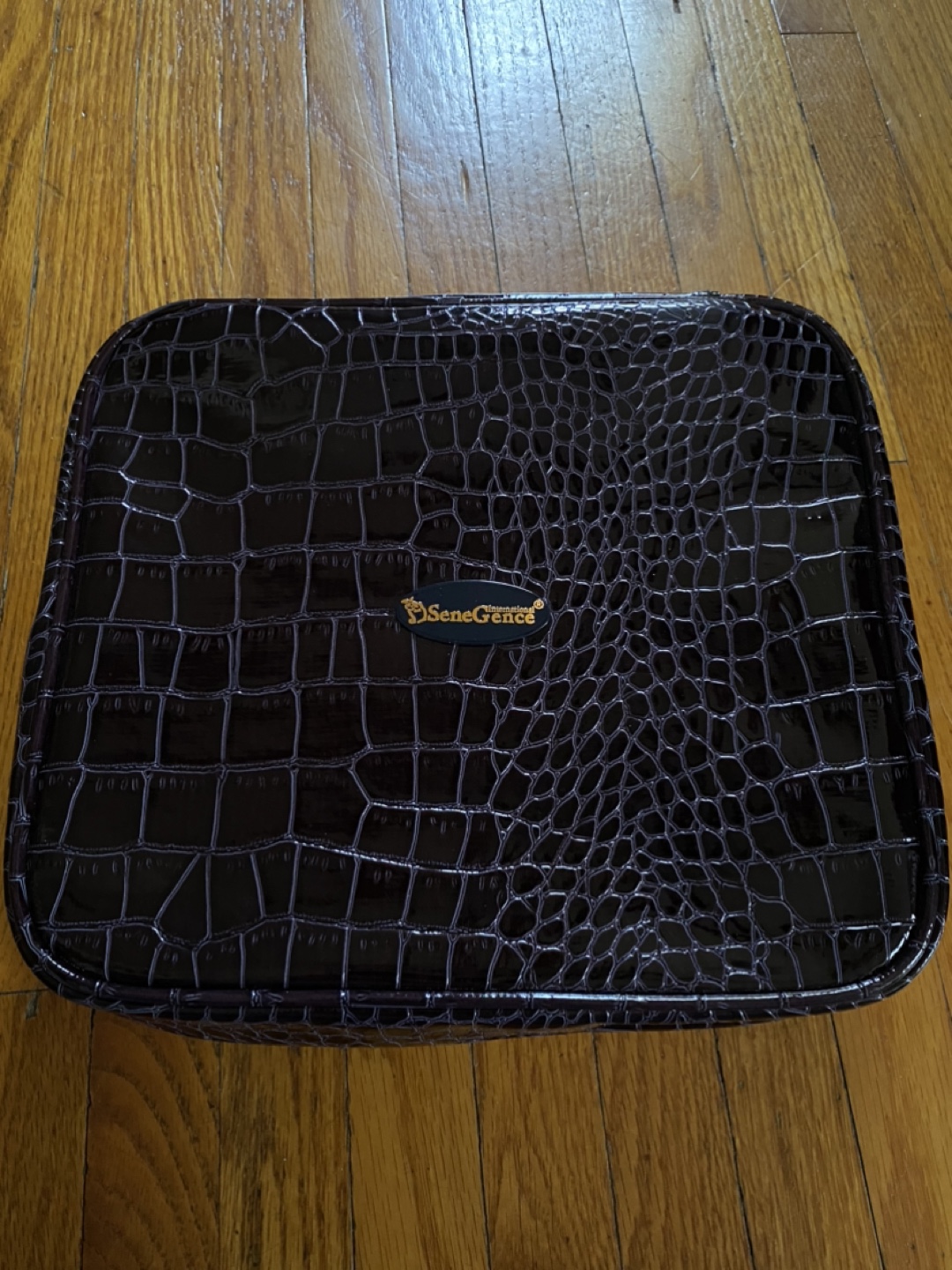 Senegence Makeup Organizer