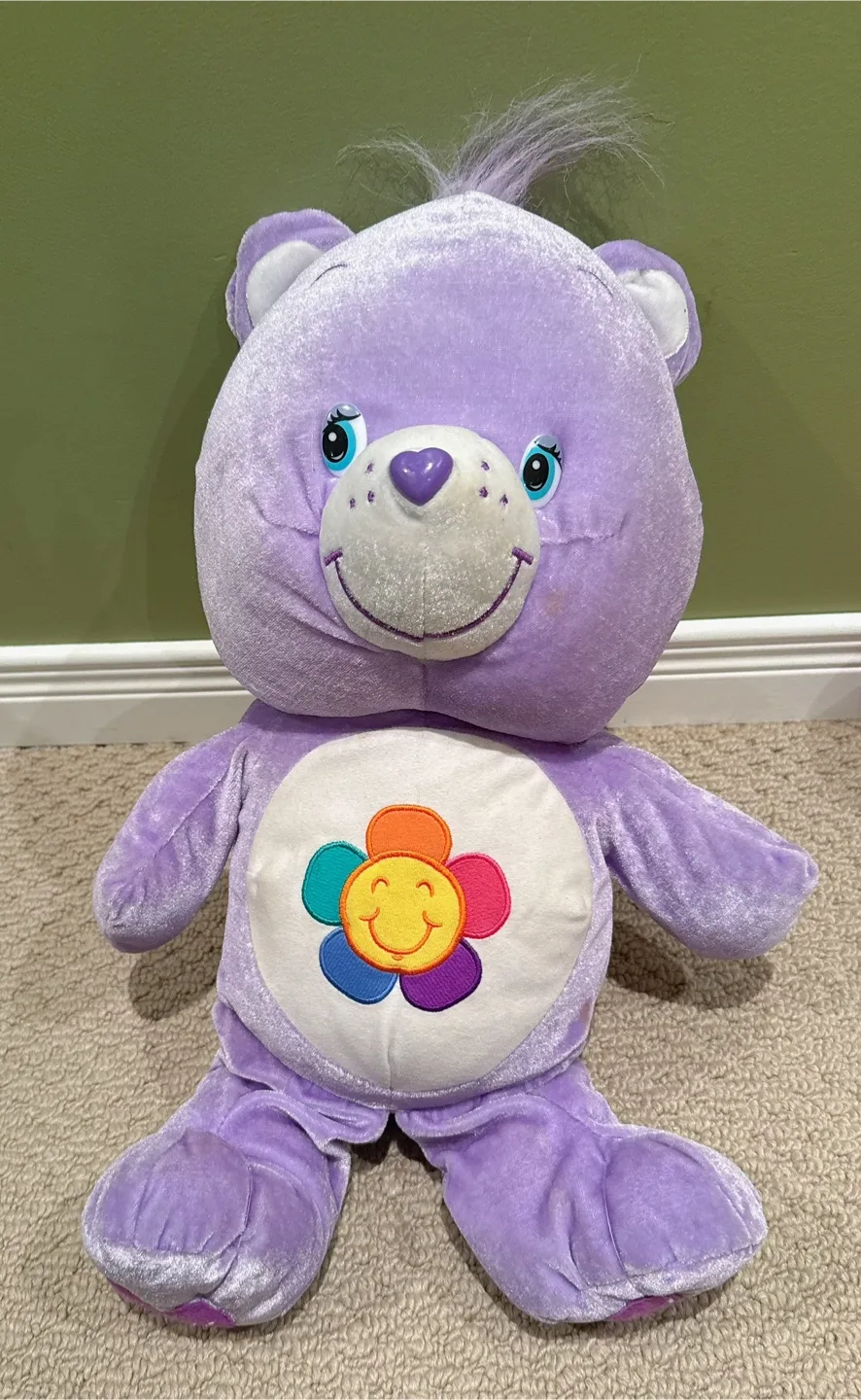 Care Bears Share Bear Plush Toy thumbnail