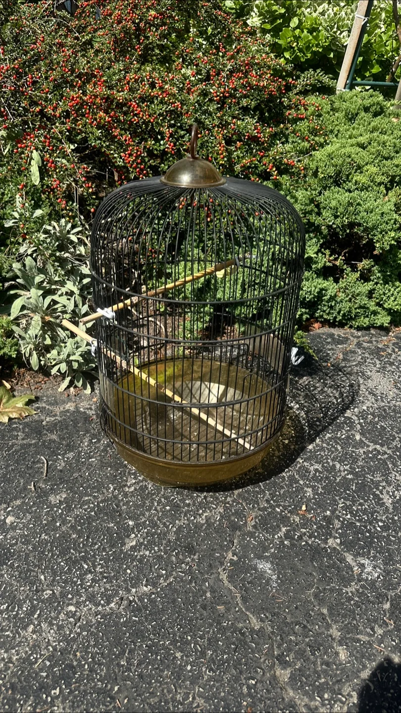 Vintage Bird Cage - Black Metal thumbnail