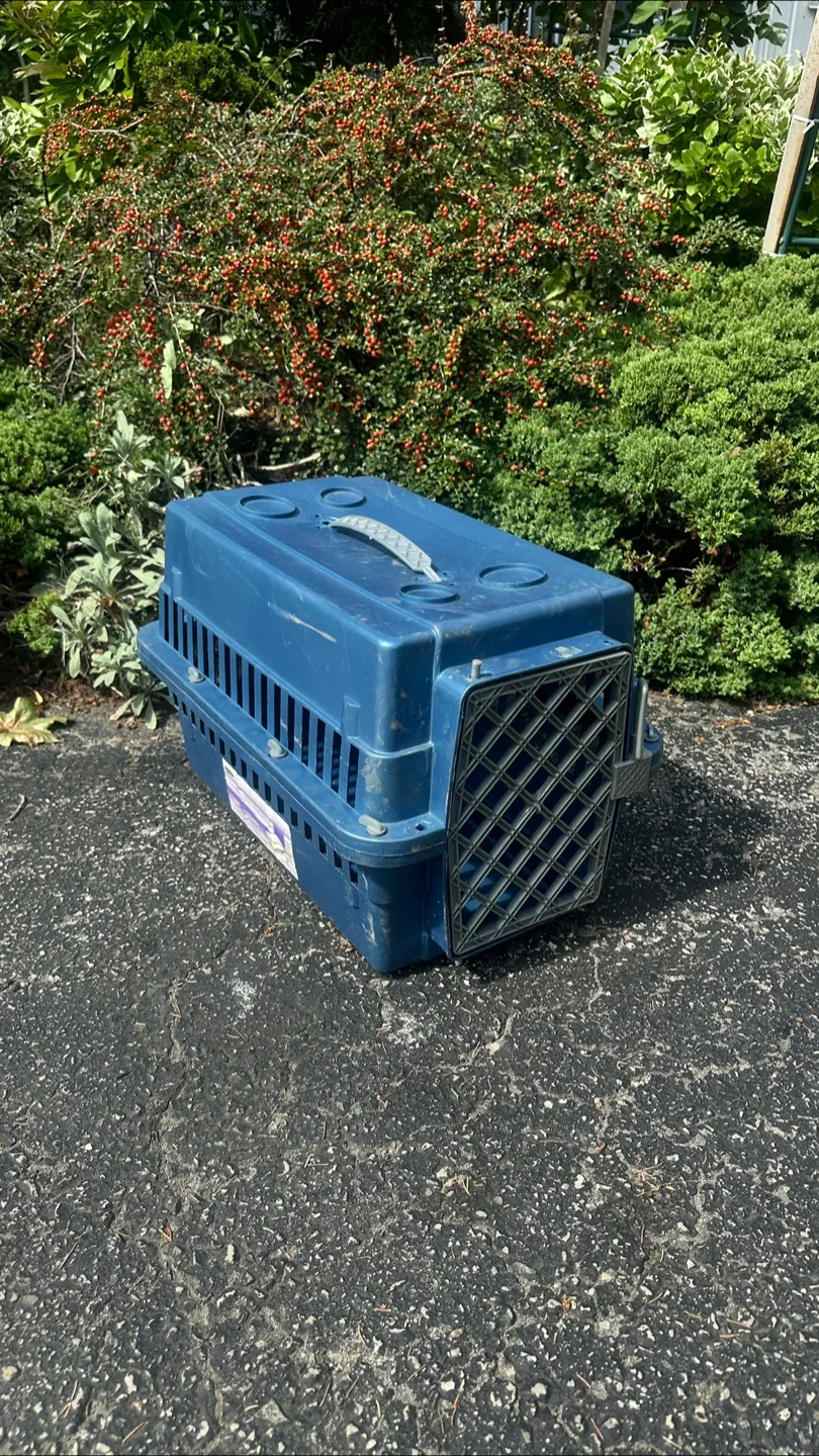 Blue Pet Carrier thumbnail