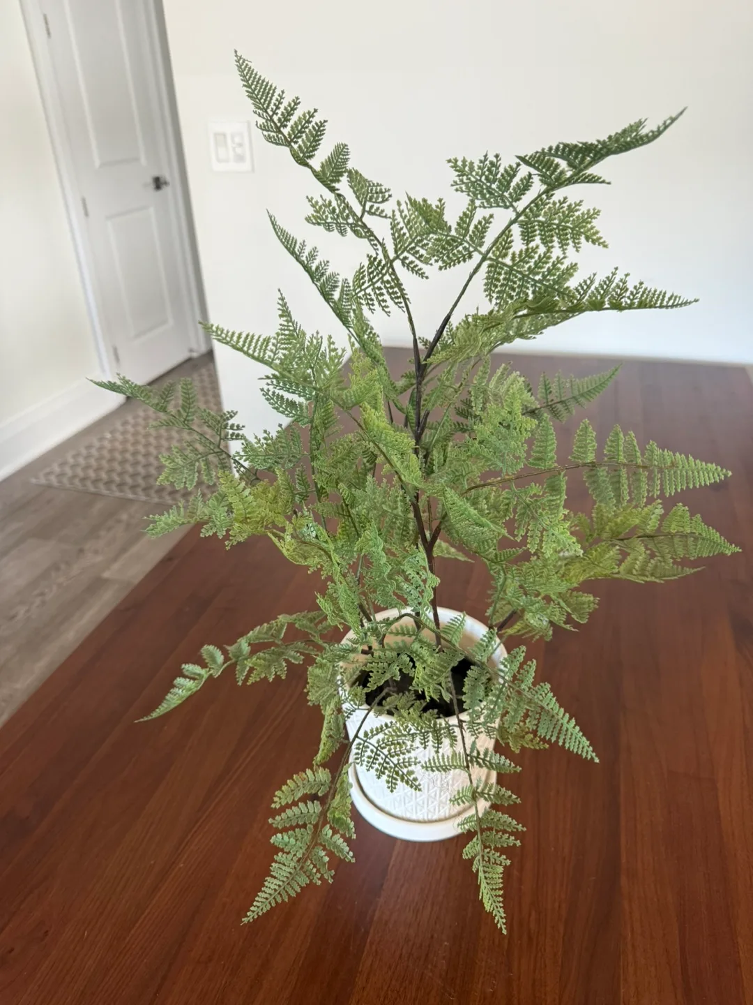 Faux Fern in White Patterned Pot thumbnail